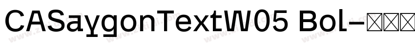 CASaygonTextW05 Bol字体转换